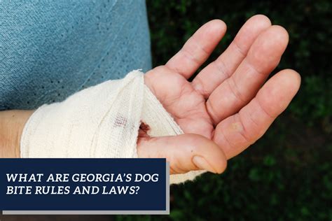 georgia injury at dog bite